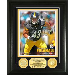 Troy Polamalu 2020 Hall of Fame Bronze Coin Photo Mint