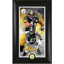 Troy Polamalu 2020 HOF Supreme Bronze Coin Photo Mint