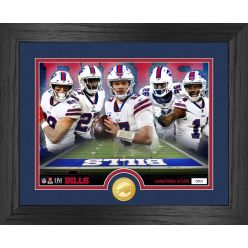 Buffalo Bills Team Force Bronze Coin Photo Mint