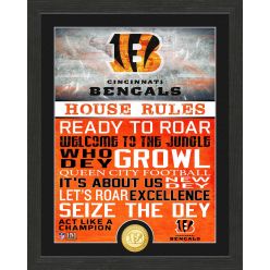 Cincinnati Bengals House Rules Bronze Coin Photo Mint